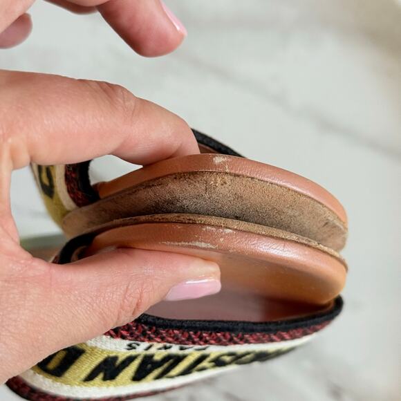 Christian Dior Dway Rainbow Multicolor Embroidered Logo Slide Flat Sandal - Picture 2 of 5